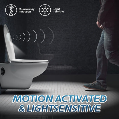MidnightAim™ Toilet Light