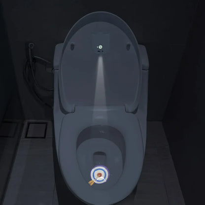 MidnightAim™ Toilet Light