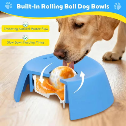 Digestify™ Slow Feeder Bowl